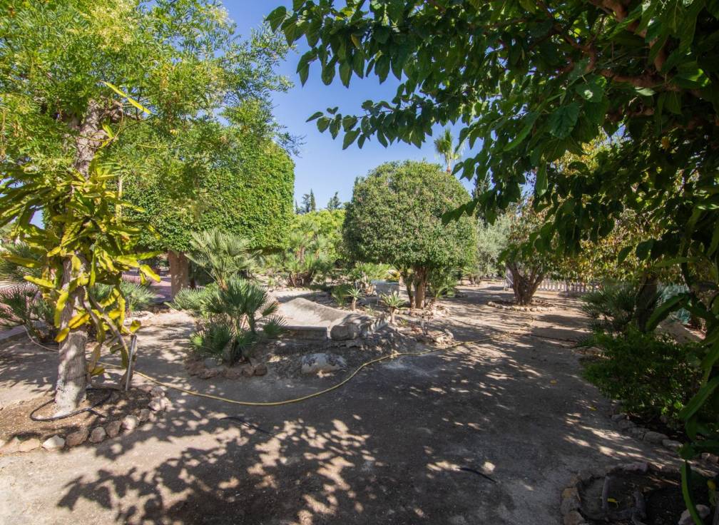 Revente - Villa - Elche Pedanías - Perleta