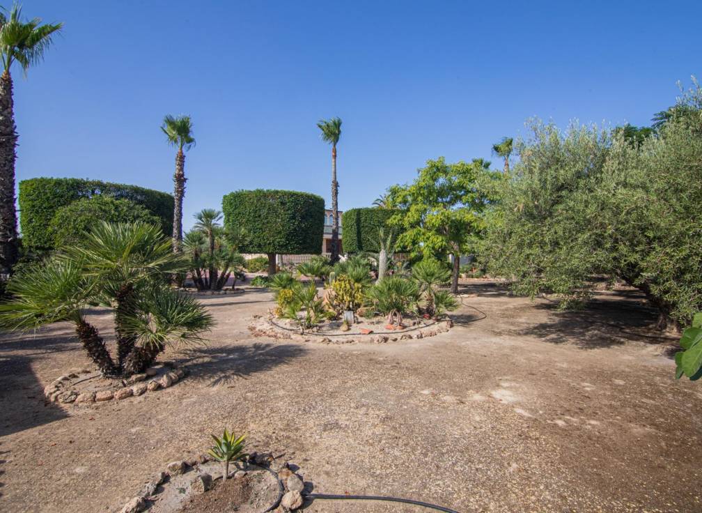 Revente - Villa - Elche Pedanías - Perleta