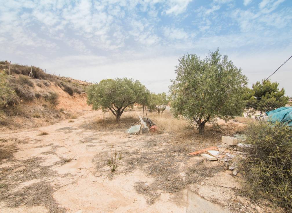 Revente - Villa - Elche Pedanías - Poligono carrus