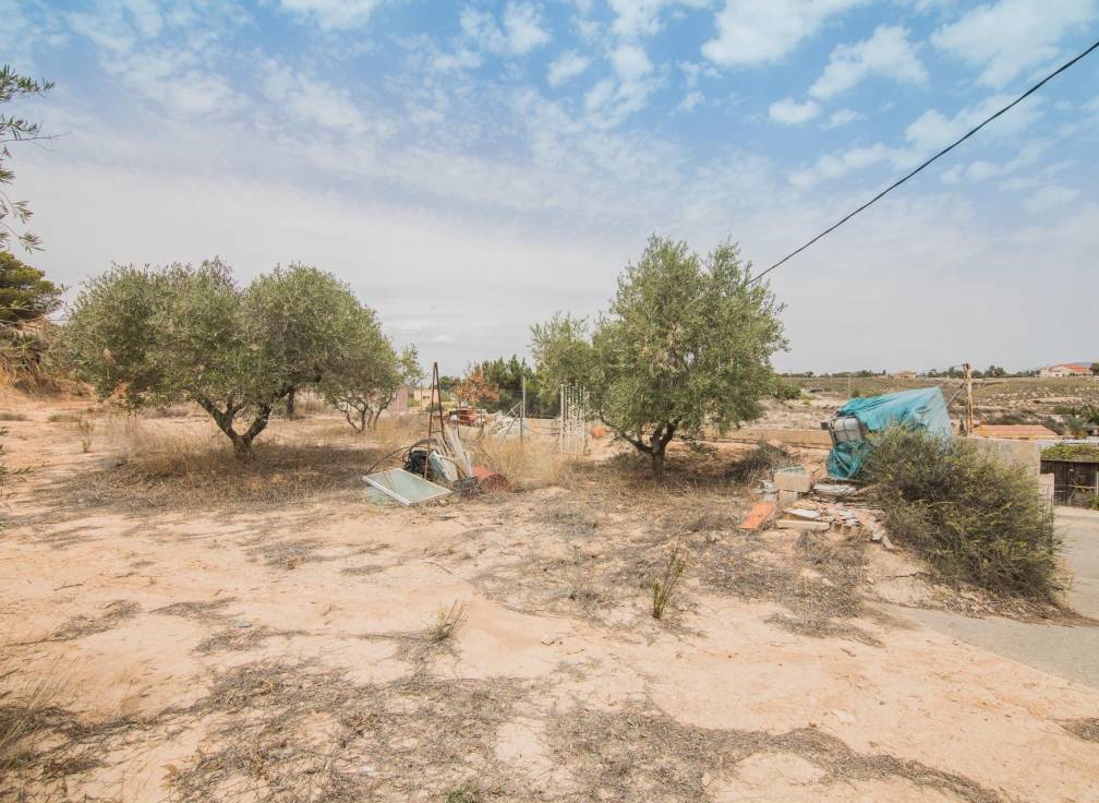 Revente - Villa - Elche Pedanías - Poligono carrus