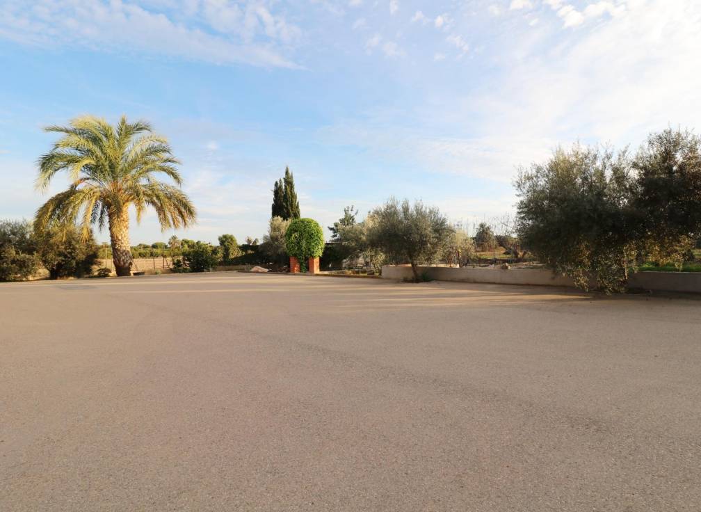 Revente - Villa - Elche Pedanías - Pussol