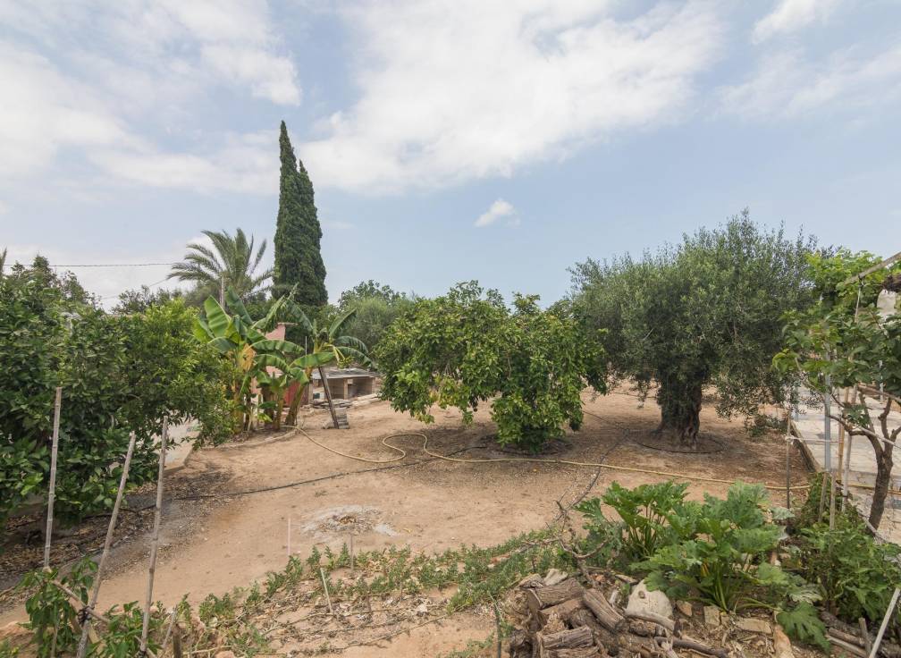 Revente - Villa - Elche Pedanías - Valverde