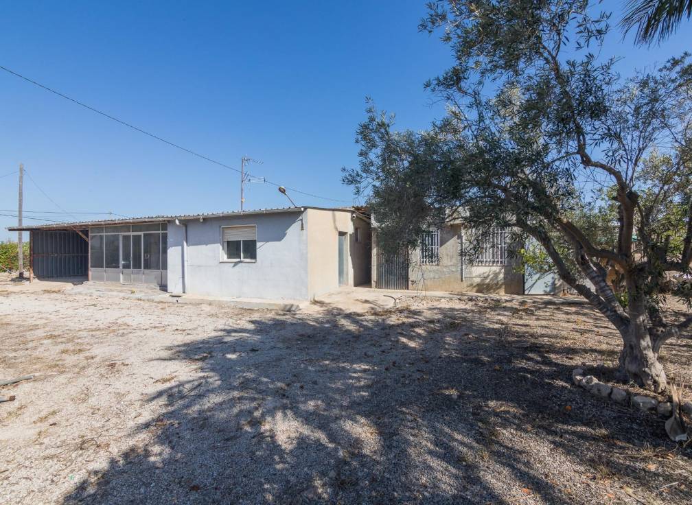 Revente - Villa - Elche Pedanías - xLas bayas