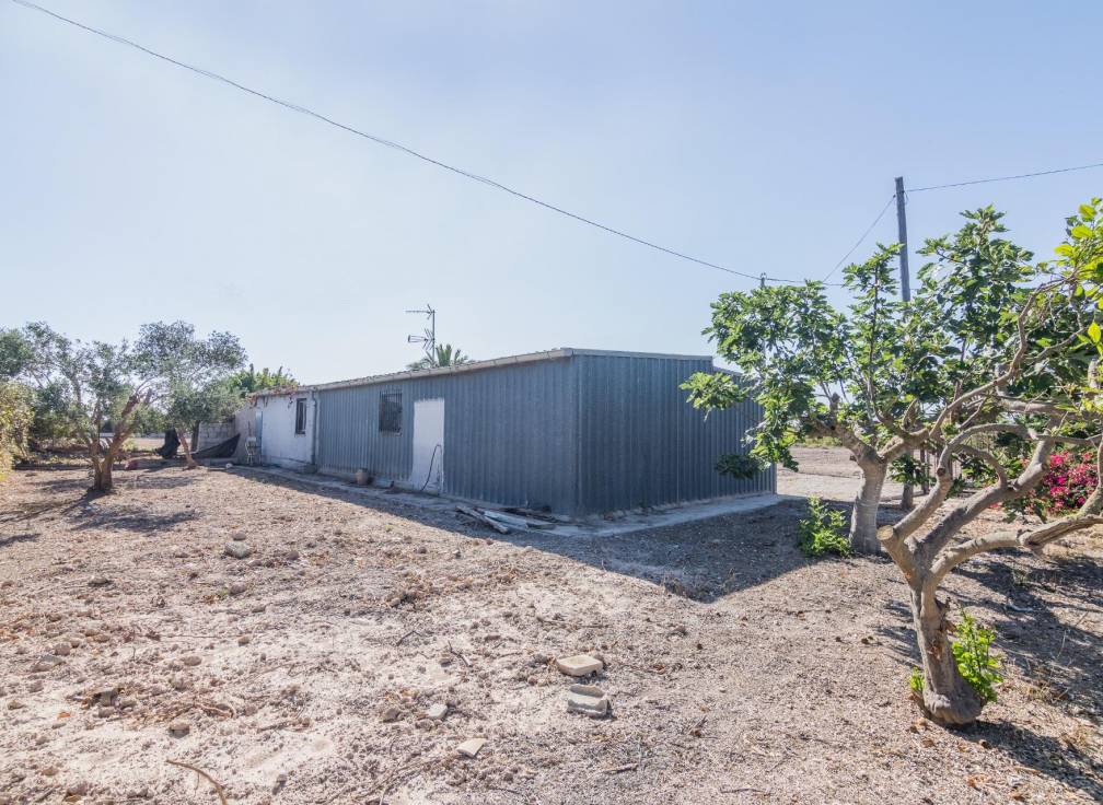 Revente - Villa - Elche Pedanías - xLas bayas