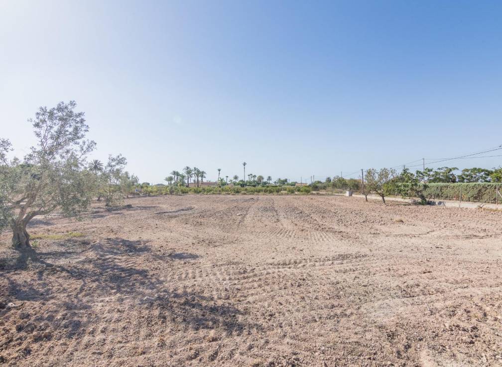 Revente - Villa - Elche Pedanías - xLas bayas