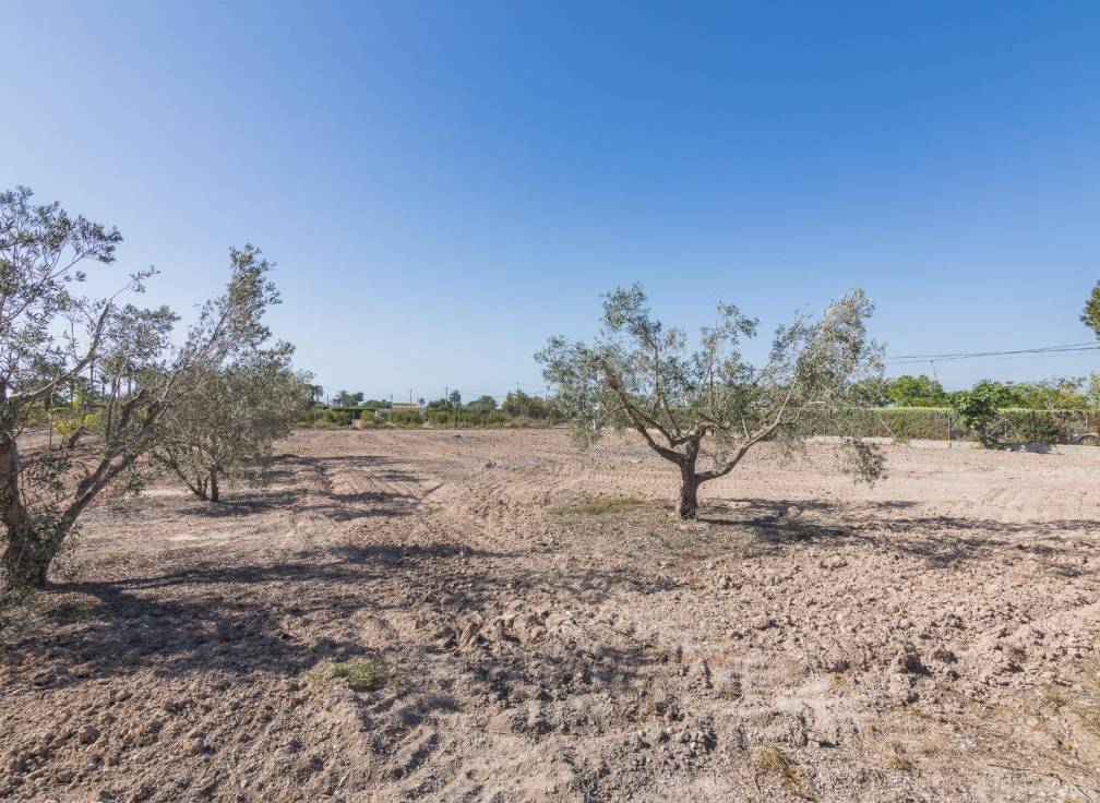 Revente - Villa - Elche Pedanías - xLas bayas