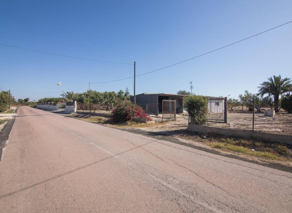 Revente - Villa - Elche Pedanías - xLas bayas