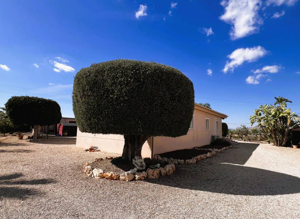 Revente - Villa - Jacarilla