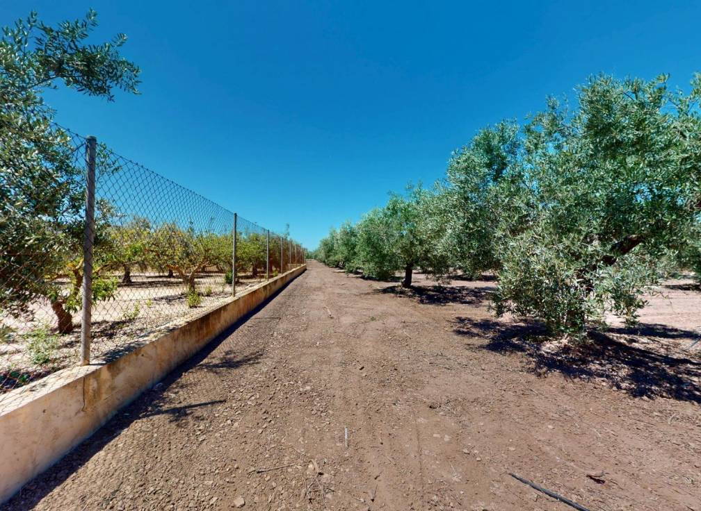 Revente - Villa - Las bayas - Baya Baja