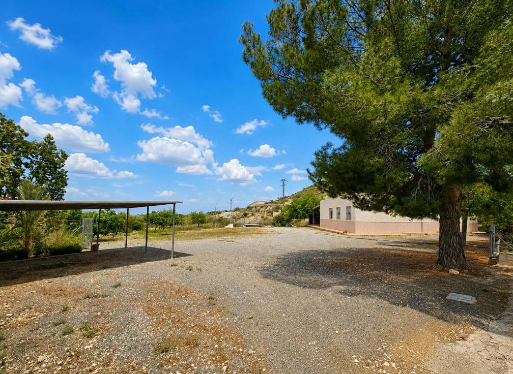 Revente - Villa - Novelda - HORNA ALTA