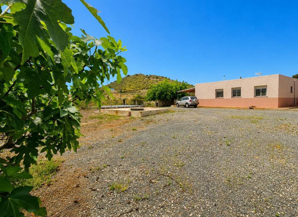 Revente - Villa - Novelda - HORNA ALTA