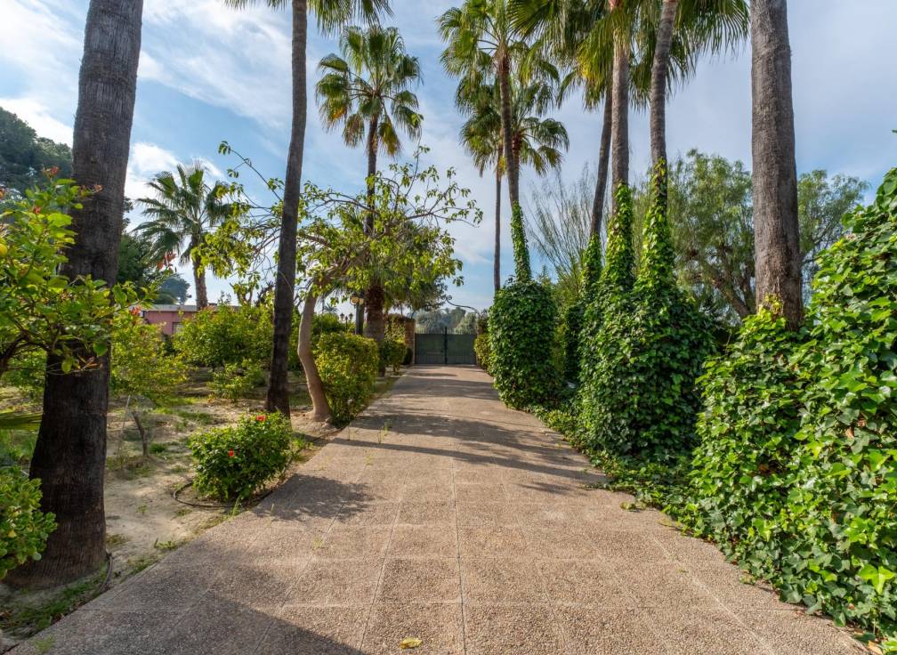 Revente - Villa - Perleta - Crta. santa pola