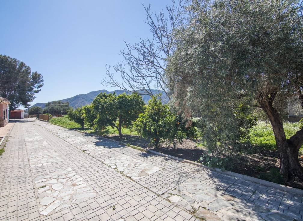 Revente - Villa - Redován - REDOVAN Redovan