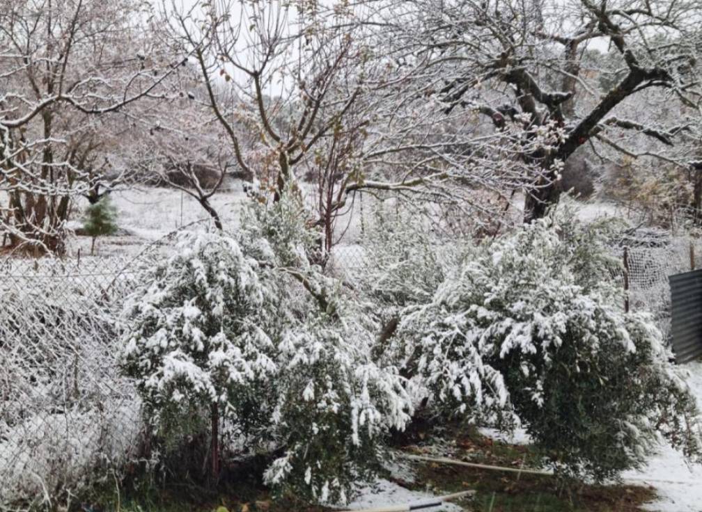 Revente - Villa - Riopar - Castilla la mancha