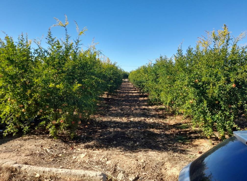 Revente - Villa - Santa Pola - Norte