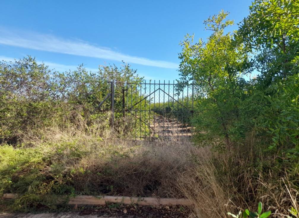 Revente - Villa - Santa Pola - Norte