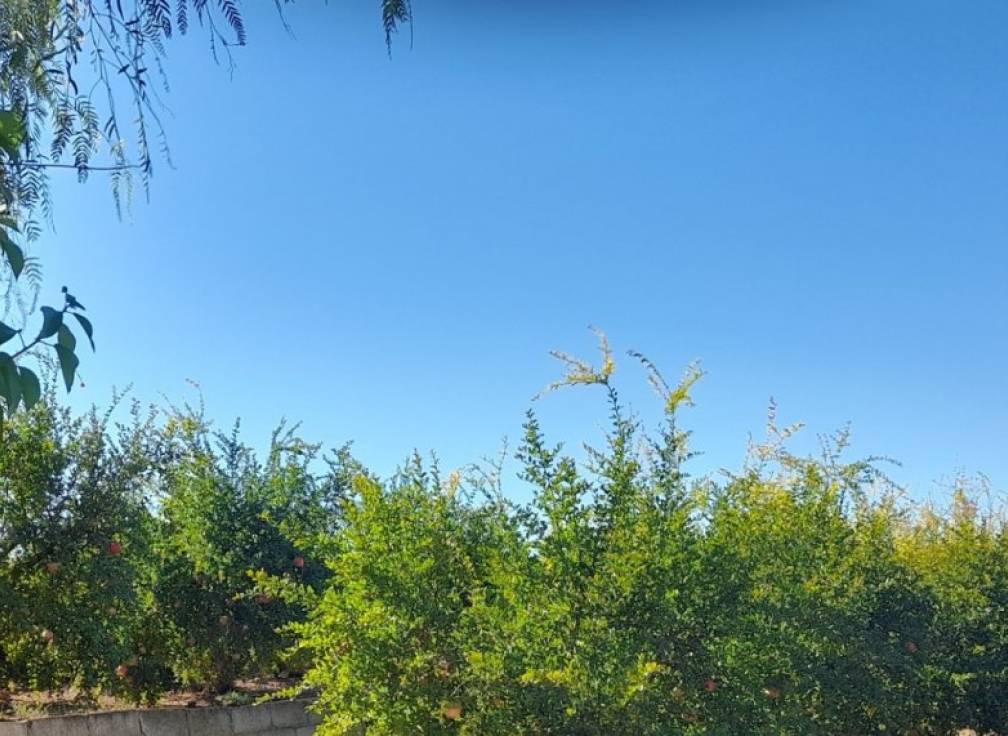 Revente - Villa - Santa Pola - Norte