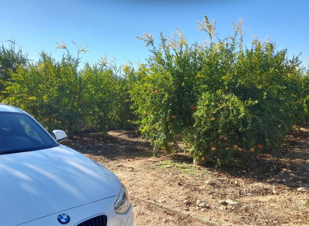 Revente - Villa - Santa Pola - Norte