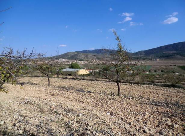 Rural Land - Resale - Hondón de las Nieves - EL REBALSO