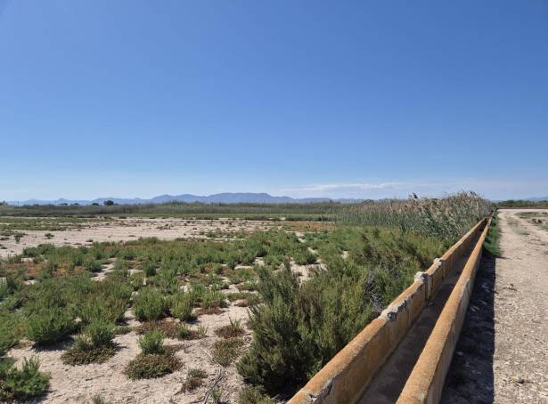 Rural Land - Resale - La hoya - La Hoya-Daimes-El Derramador