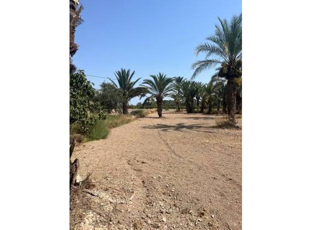 Rural Land - Resale - Matola - Algoda-Matola-Llano de San José