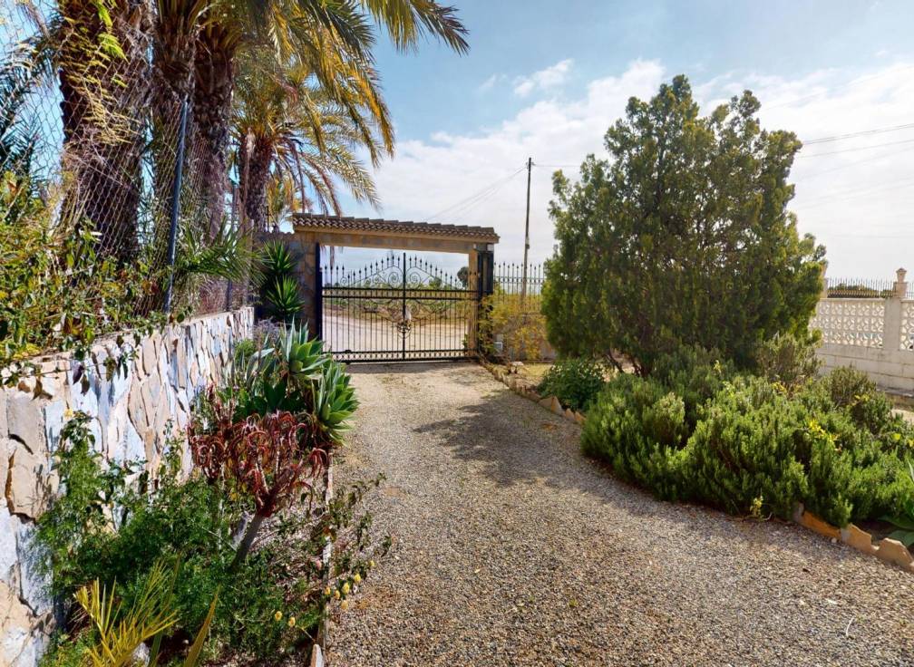 Segunda mano -  - Albatera - Partida del Moco