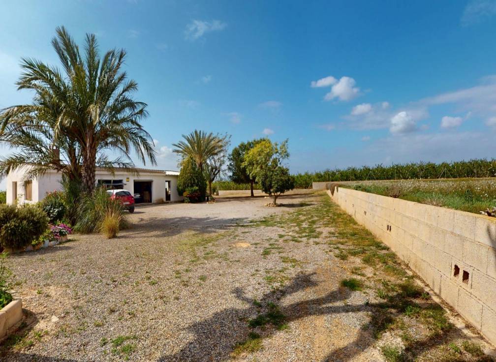 Segunda mano -  - Albatera - Partida del Moco