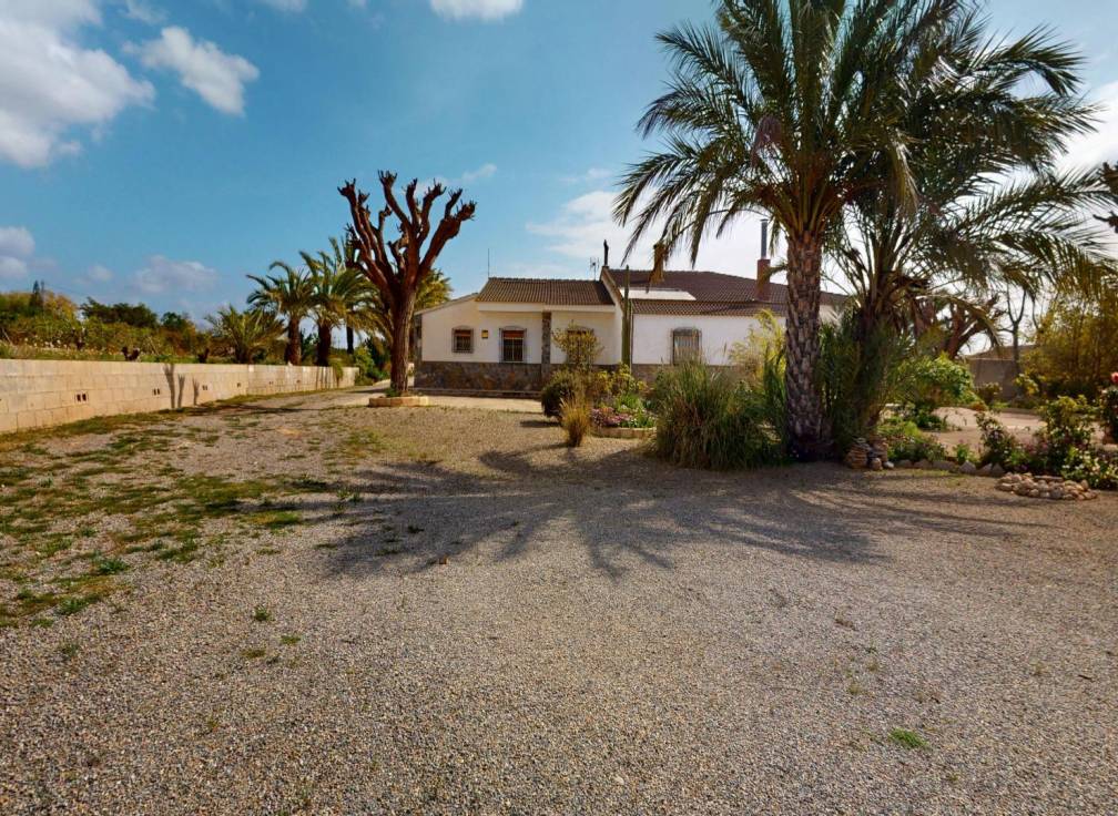 Segunda mano -  - Albatera - Partida del Moco