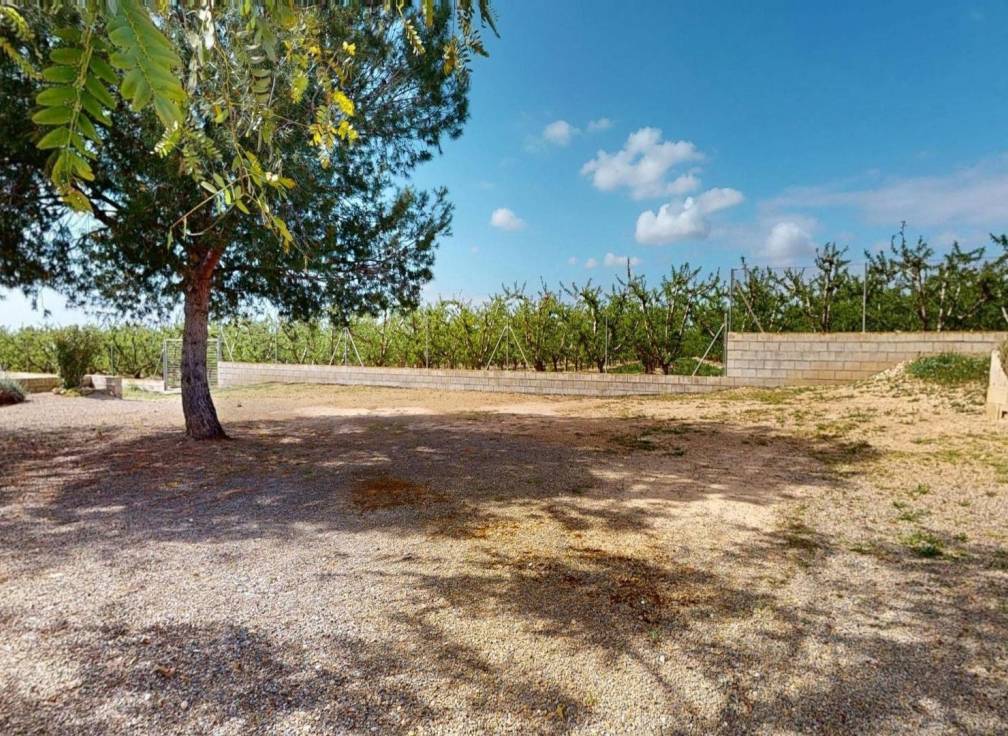 Segunda mano -  - Albatera - Partida del Moco