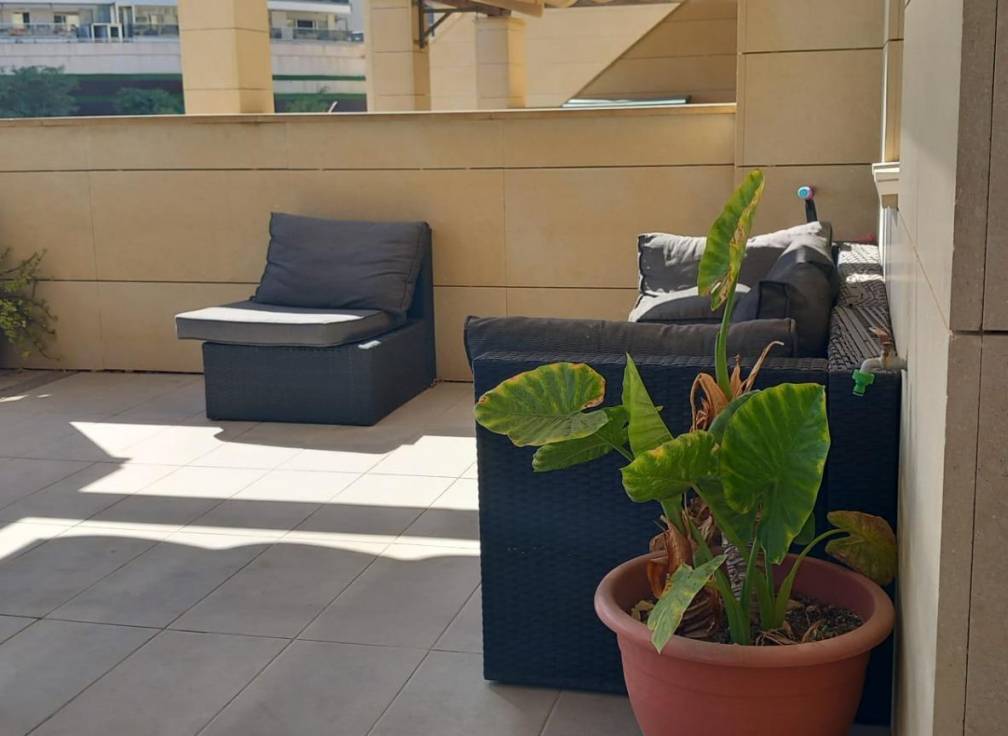 Segunda mano - Apartamento - Arenales del Sol - Calle albacete