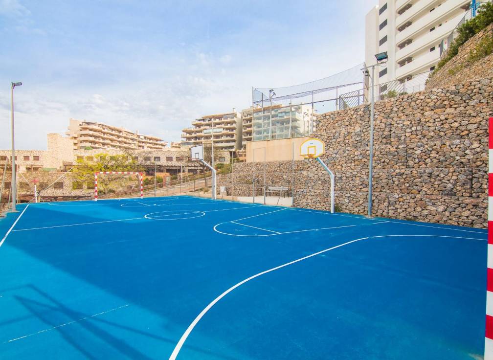 Segunda mano - Apartamento - Arenales del Sol - Calle valladolid