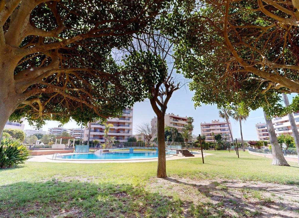 Segunda mano - Apartamento - Arenales del Sol