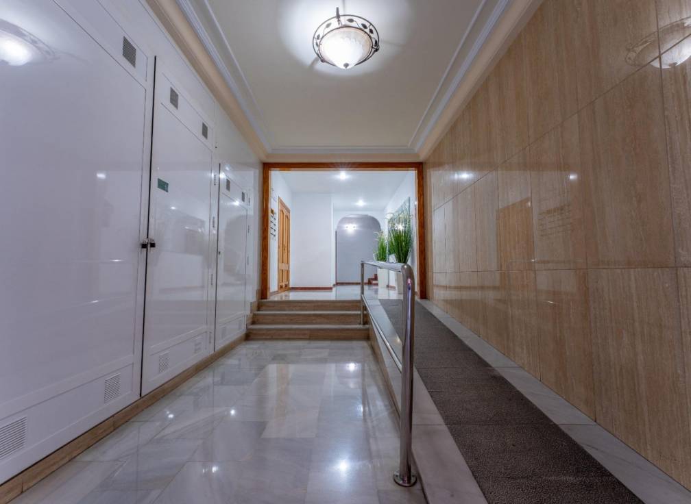 Segunda mano - Apartamento - Elche - Sector Quinto