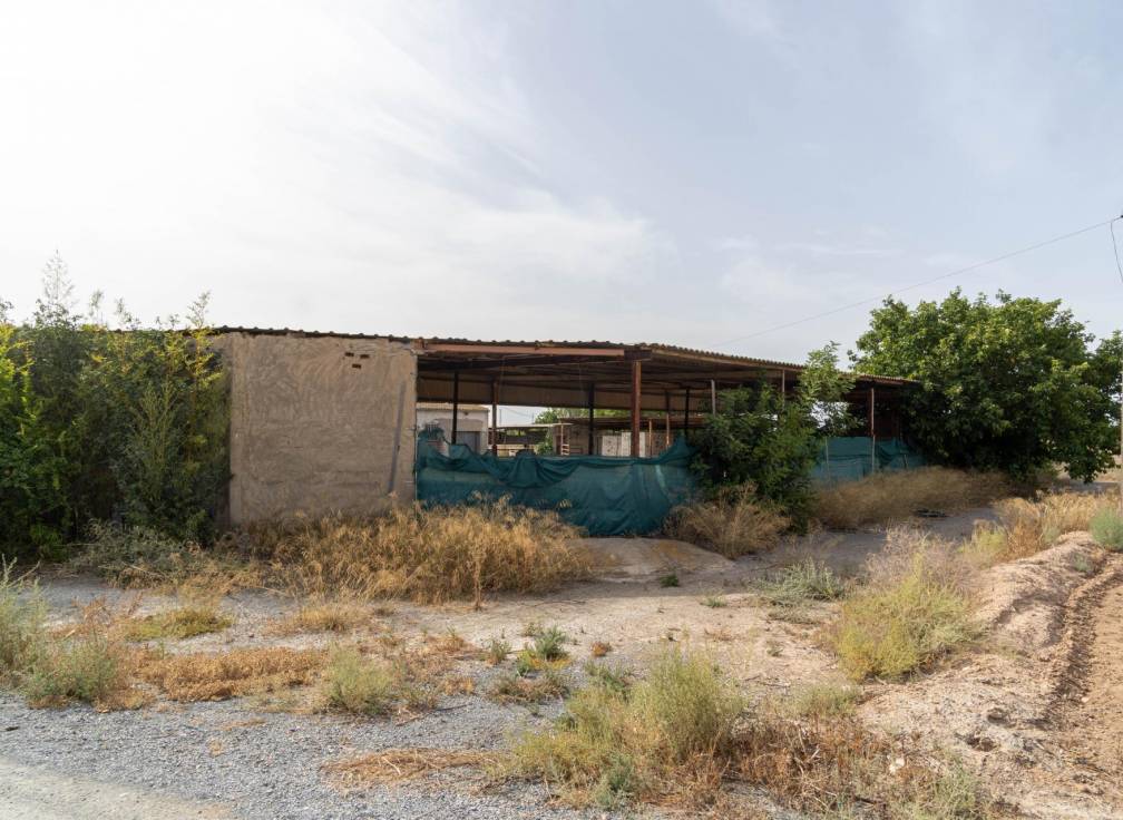 Segunda mano - Casa con terreno - Elche Pedanías - Jubalcoi-Saladas