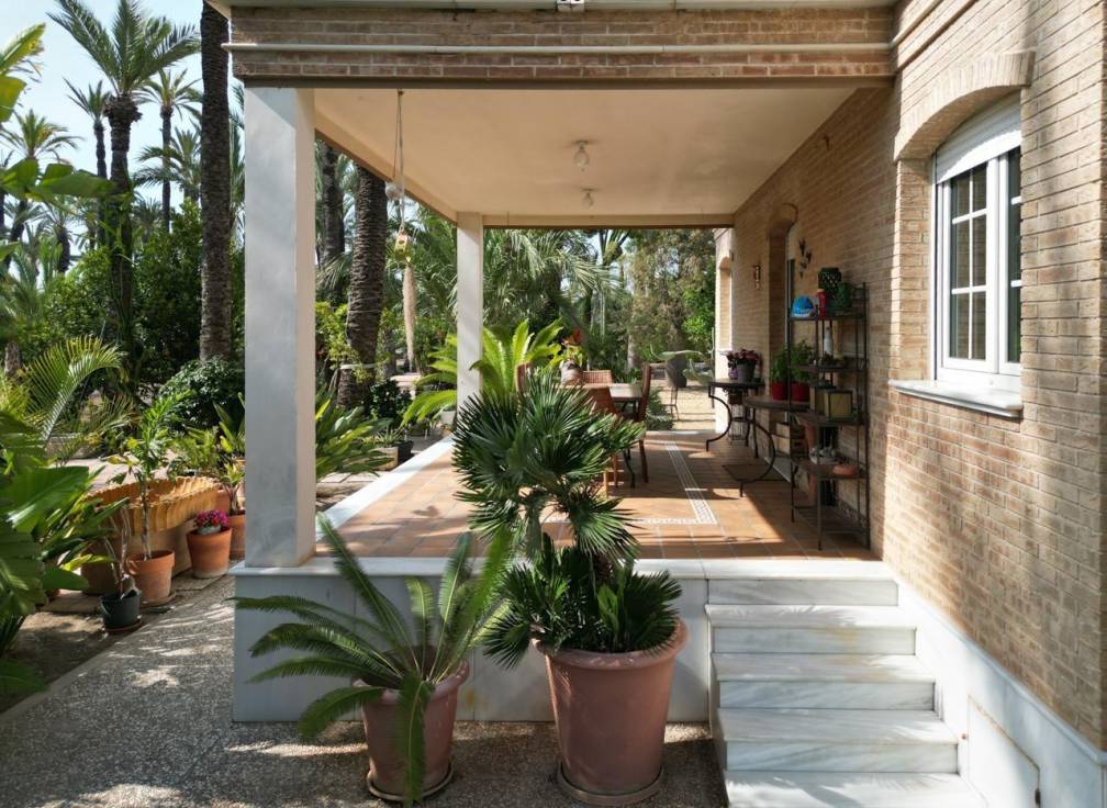 Segunda mano - Casa de campo - Elche Pedanías - Alzabares