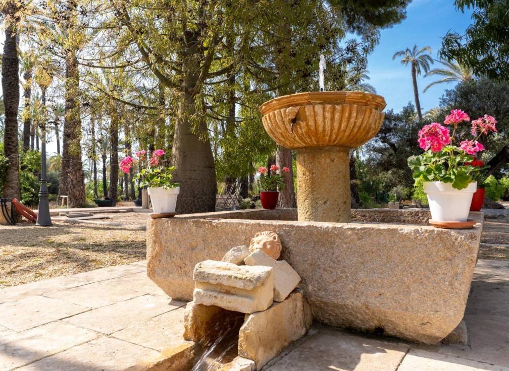 Segunda mano - Casa de campo - Elche Pedanías - Alzabares