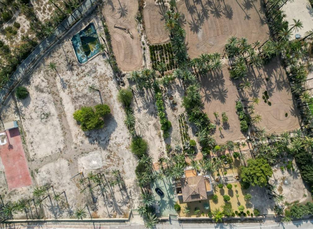 Segunda mano - Casa de campo - Elche Pedanías - Alzabares