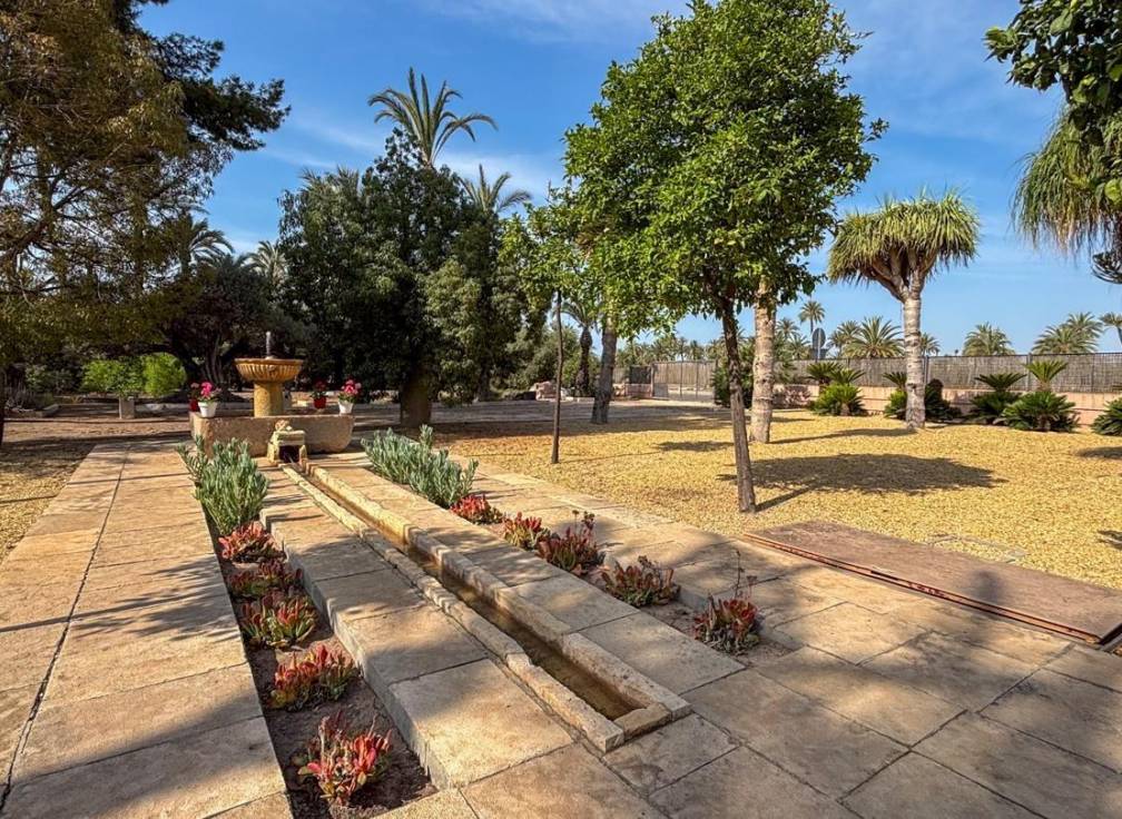 Segunda mano - Casa de campo - Elche Pedanías - Alzabares