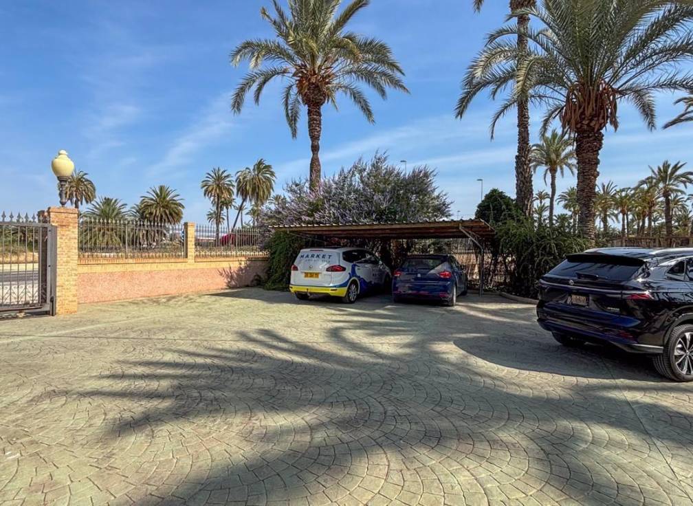 Segunda mano - Casa de campo - Elche Pedanías - Alzabares