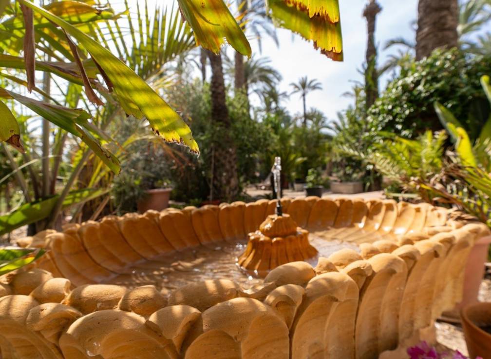 Segunda mano - Casa de campo - Elche Pedanías - Alzabares