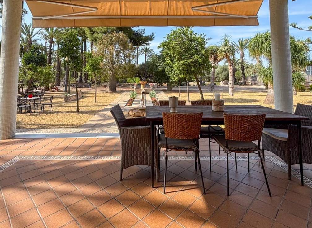 Segunda mano - Casa de campo - Elche Pedanías - Alzabares