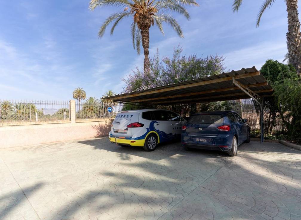 Segunda mano - Casa de campo - Elche Pedanías - Alzabares