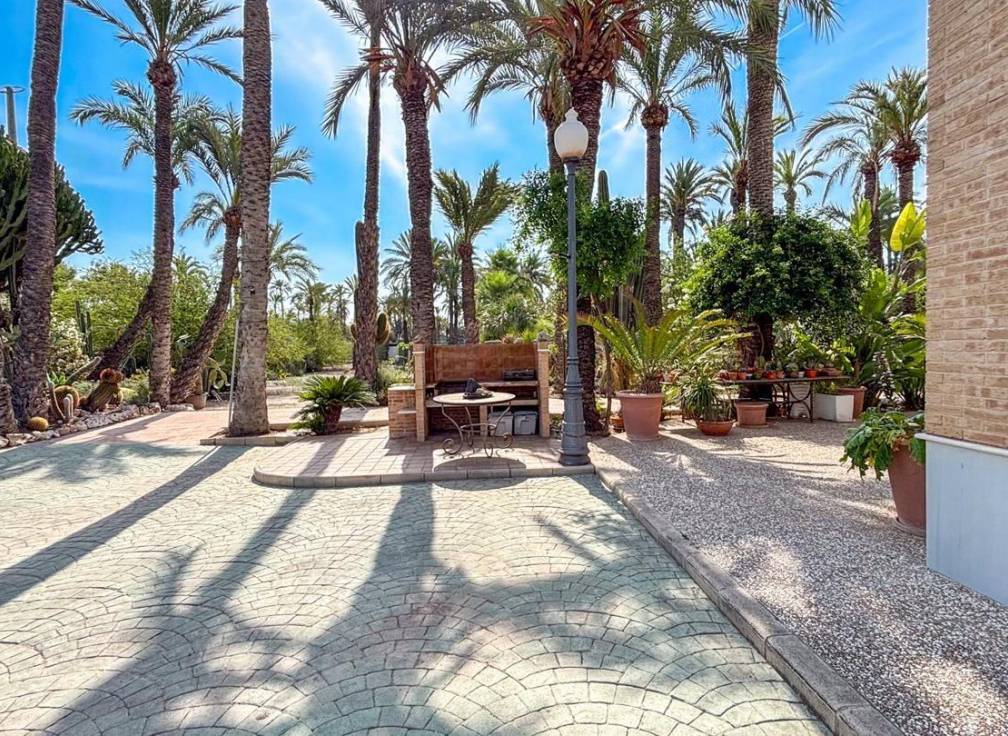 Segunda mano - Casa de campo - Elche Pedanías - Alzabares