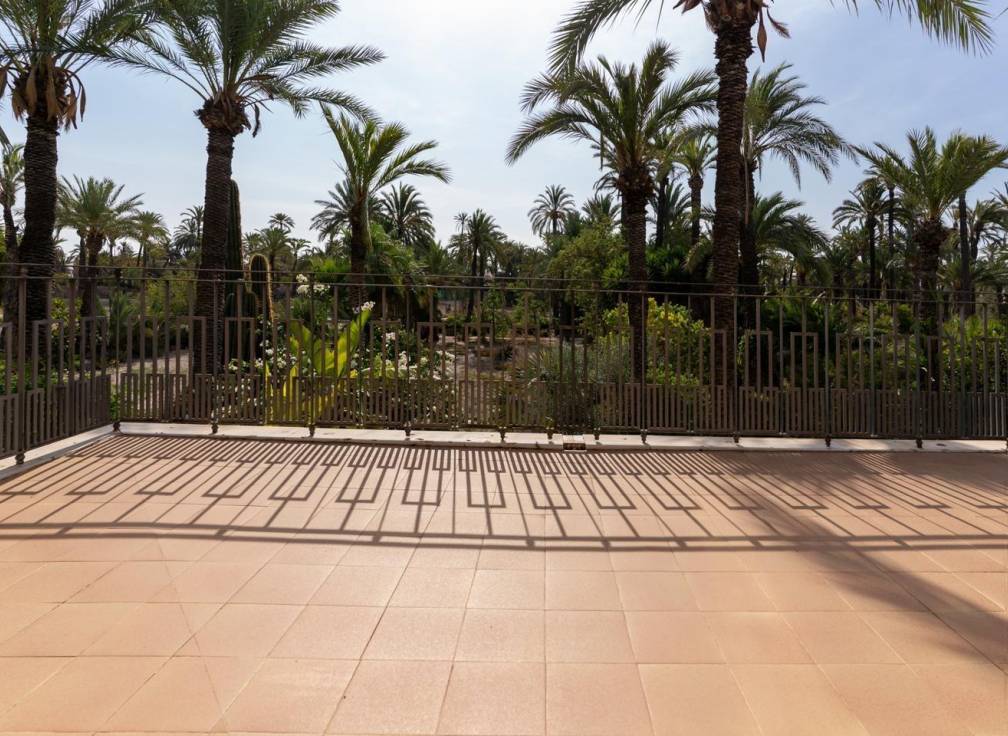 Segunda mano - Casa de campo - Elche Pedanías - Alzabares