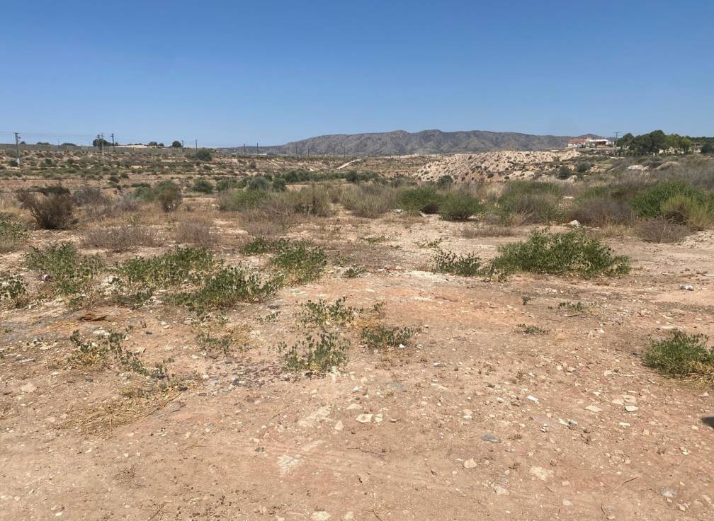 Segunda mano - Casa de campo - Elda - Las Trescientas - San Francisco