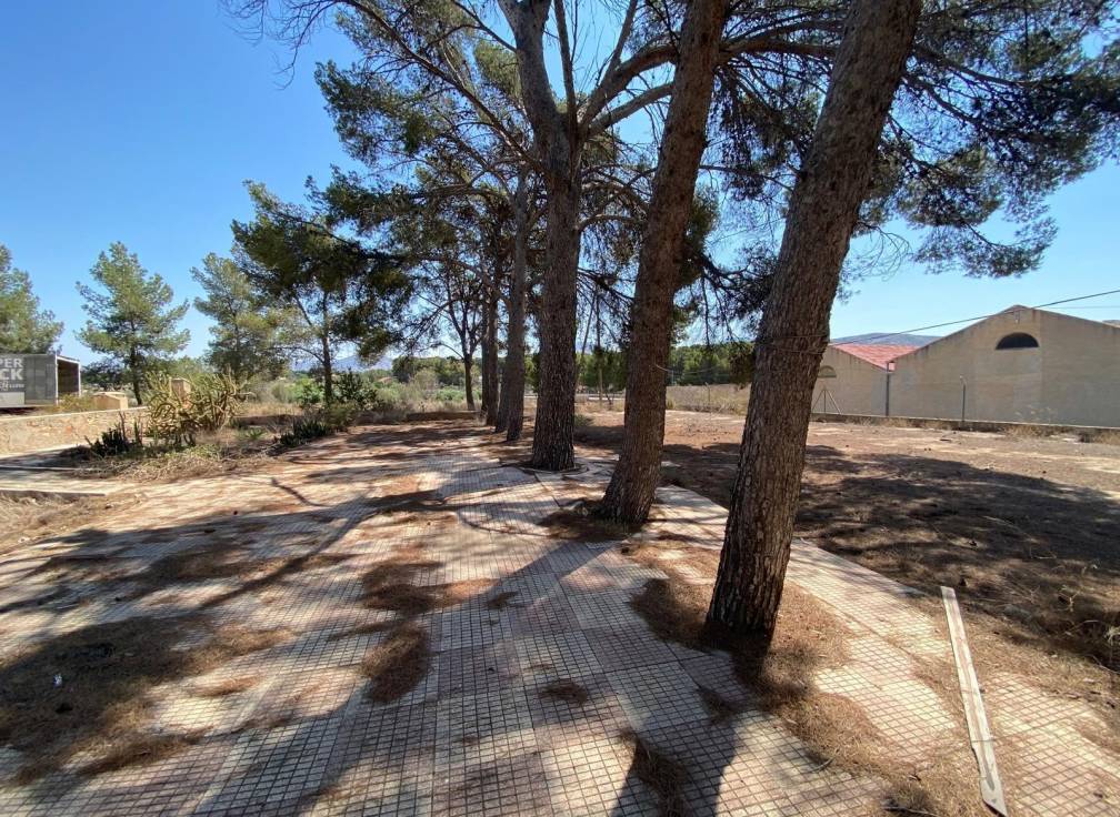 Segunda mano - Casa de campo - Elda - Las Trescientas - San Francisco