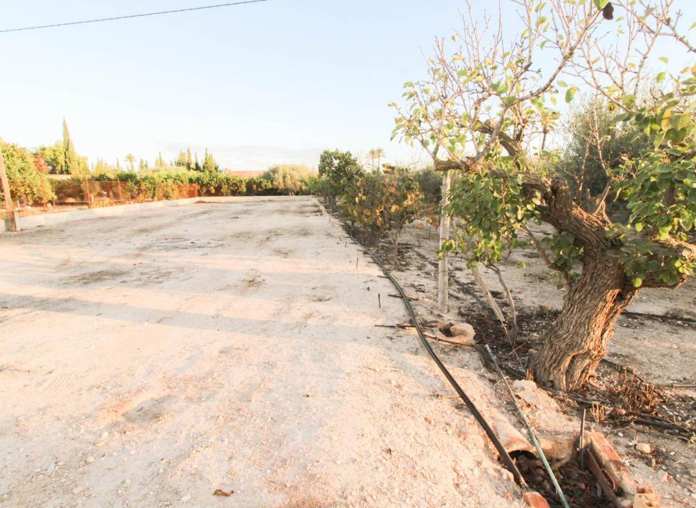 Segunda mano - Casa de campo - La hoya - La Hoya-Daimes-El Derramador