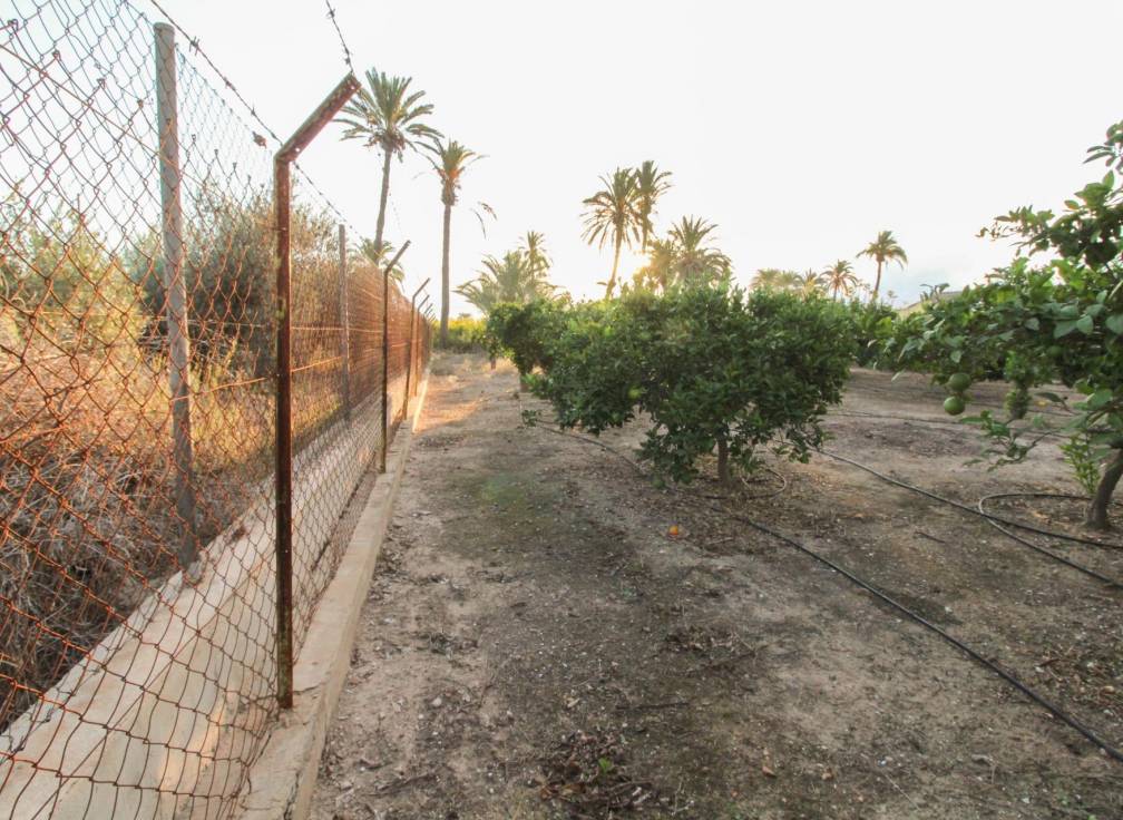 Segunda mano - Casa de campo - La hoya - La Hoya-Daimes-El Derramador