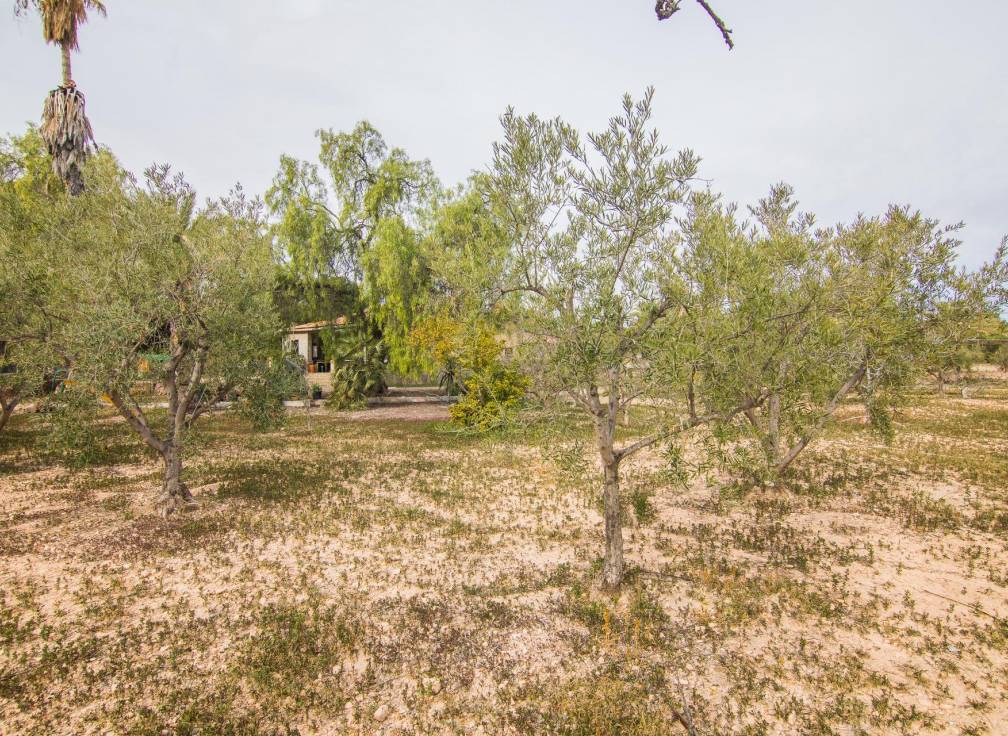 Segunda mano - Casa de campo - Peña las aguilas - PEÑA DE LAS AGUILAS