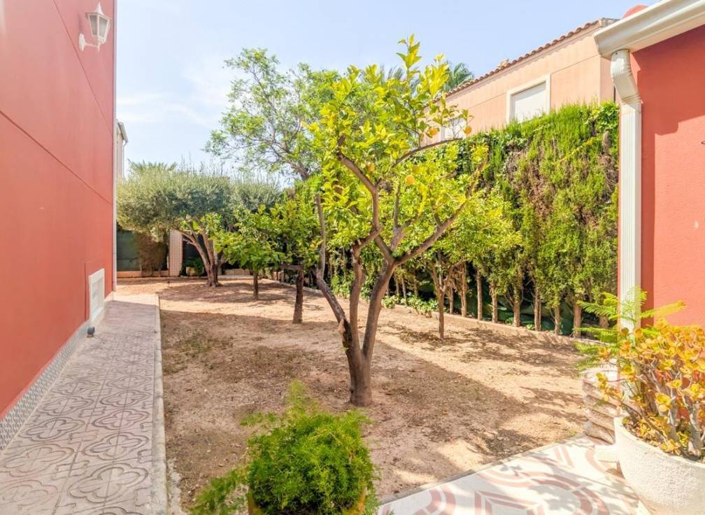 Segunda mano - Casa - Elche Pedanías - Valverde